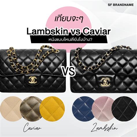 Lambskin Vs Caviar: Which Chanel Leat